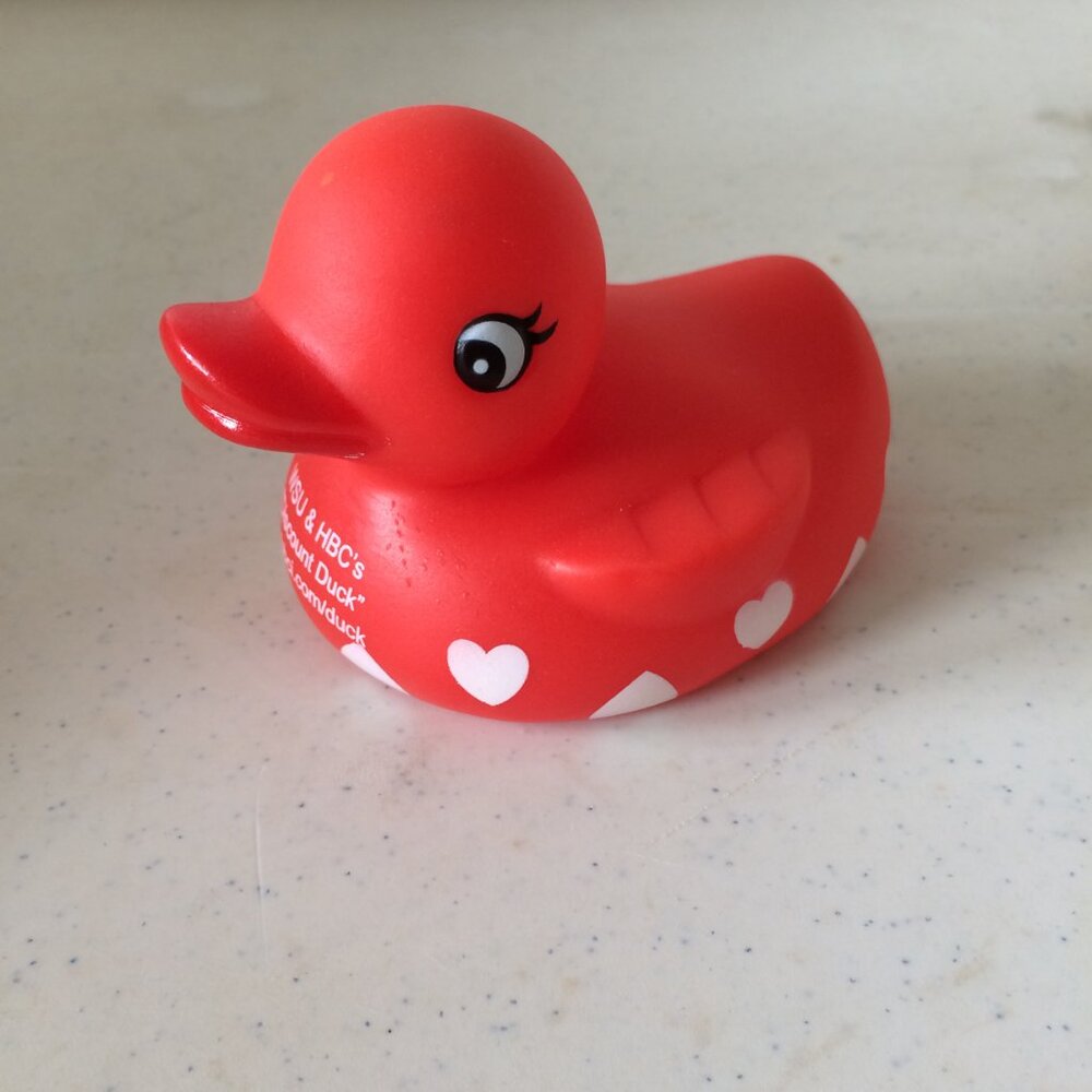 Rubber Ducky Assortment of Seven - Picture 6 of 13